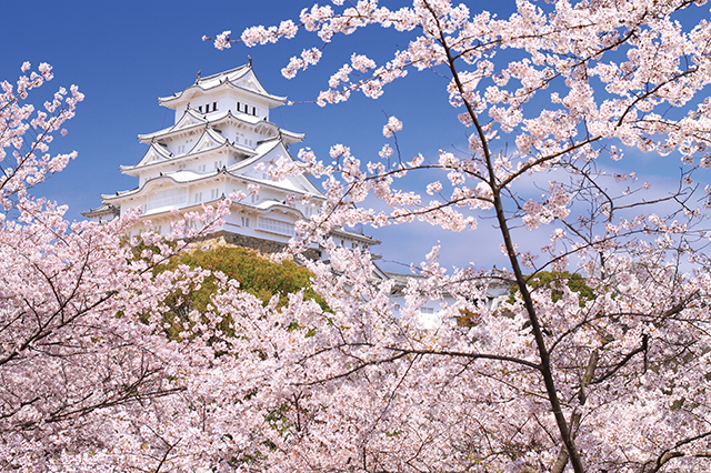 himeji-castle