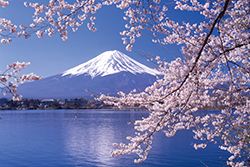 Mt.Fuji