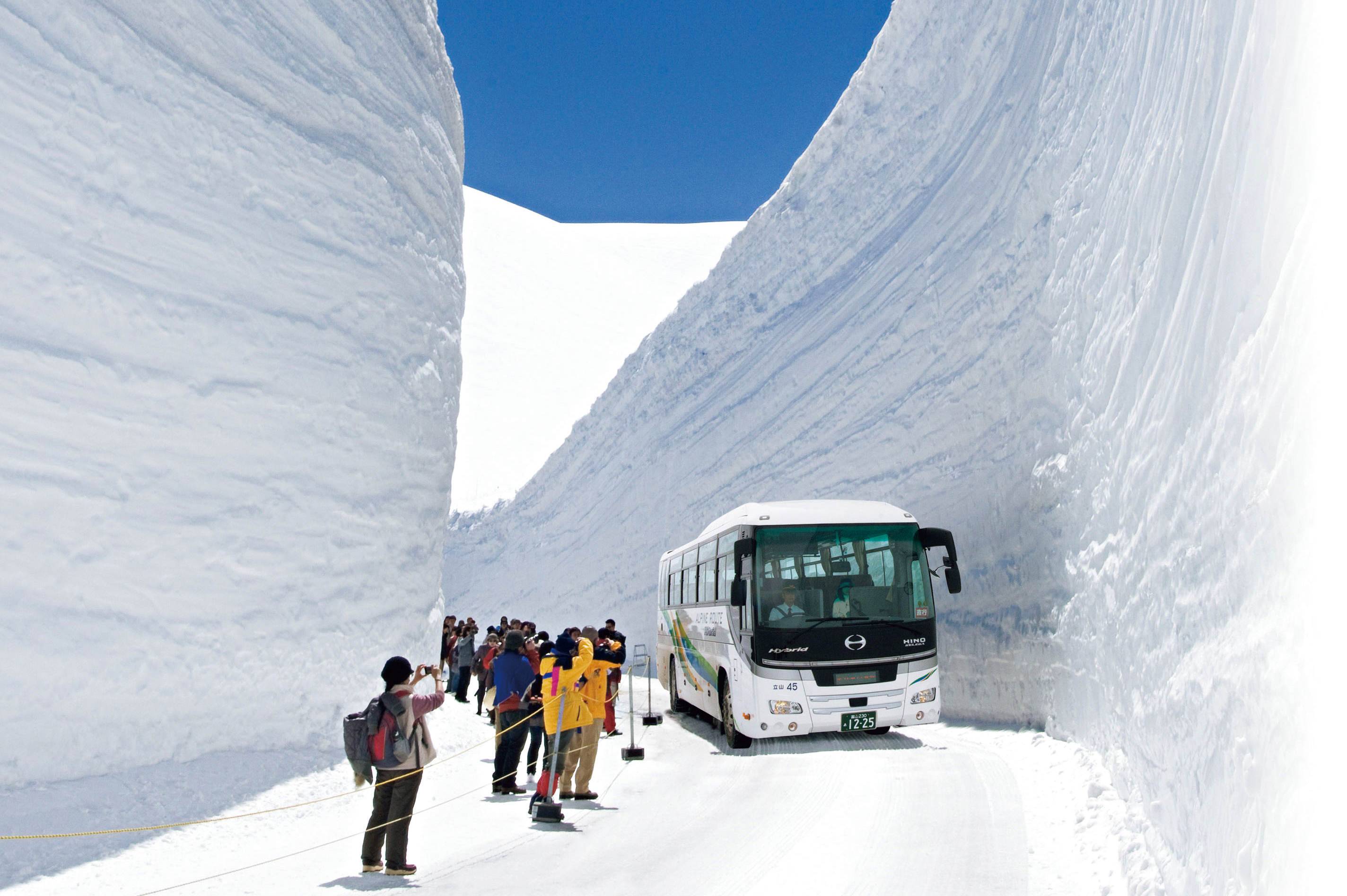 snow_otani